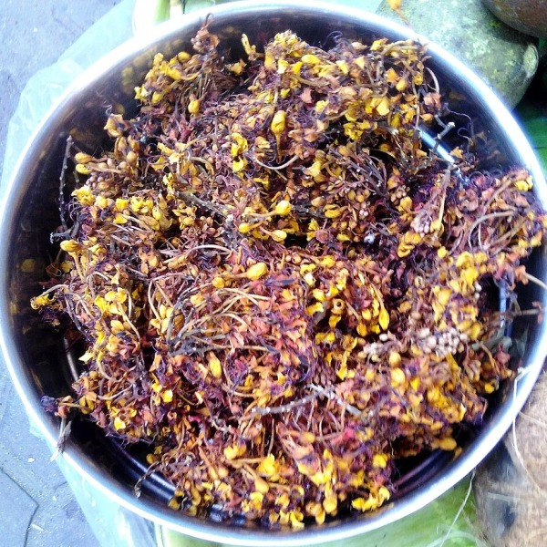 BOSWELLIA (SHALLAKI)