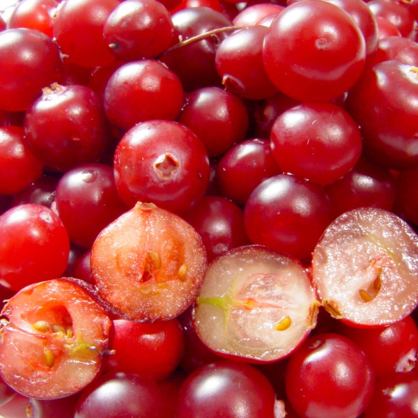 CRANBERRY EXTRACT