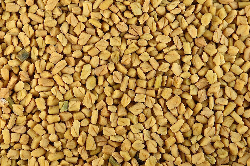 FENUGREEK EXTRACT